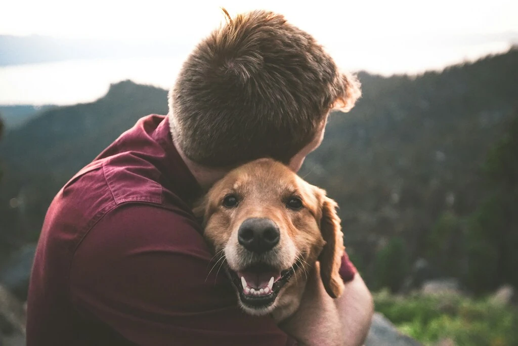 person hugging a dog